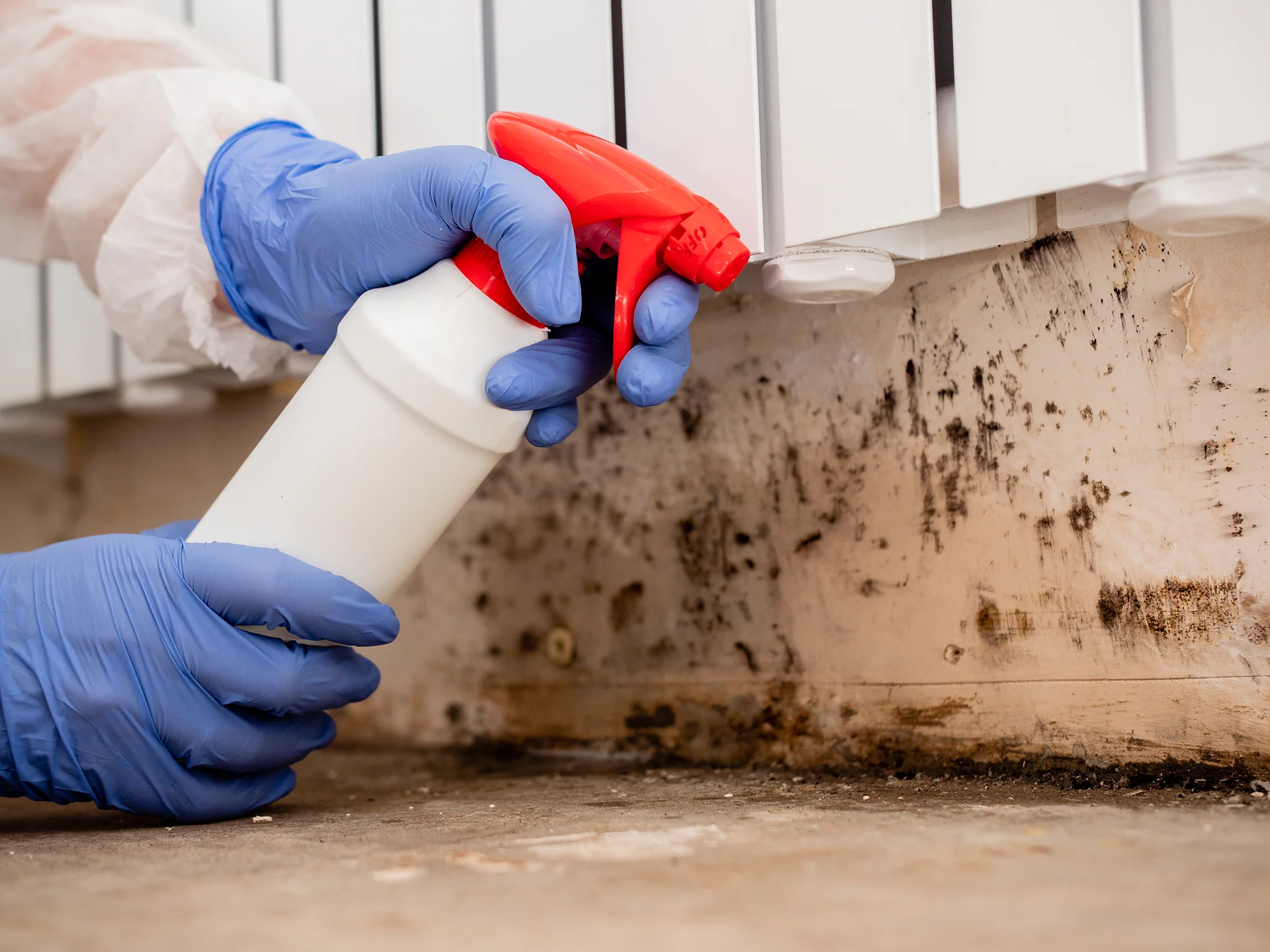 Mold remediation